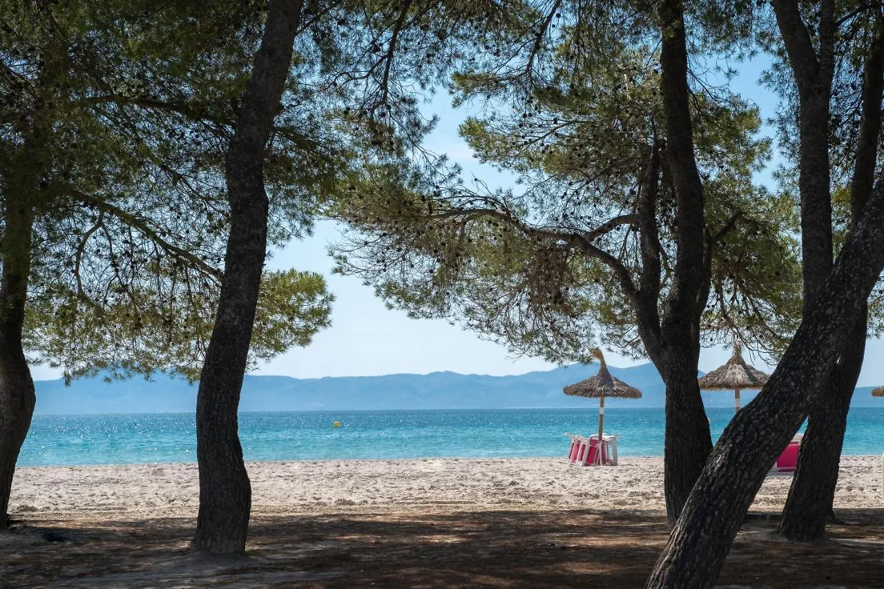 Apartamentos Ferrer Lime Playa De Alcudia Port de Alcudia