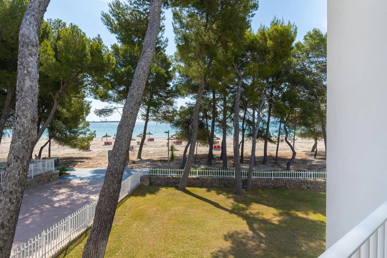 Appartamento Apartamentos Ferrer Lime Playa De Alcudia Port de Alcudia