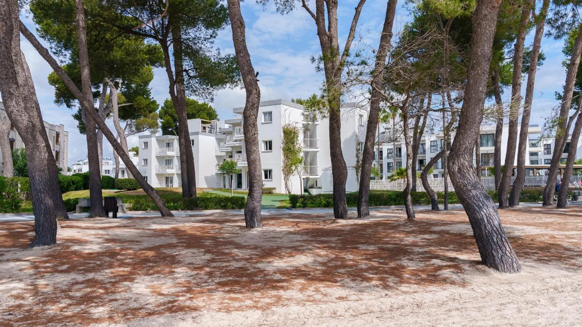 Apartamentos Ferrer Lime Playa De Alcudia 阿尔库迪亚港 0*,