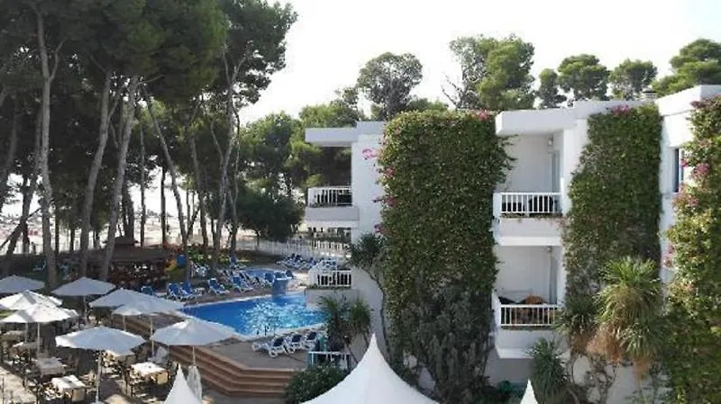 Apartamentos Ferrer Lime Playa De Alcudia 阿尔库迪亚港