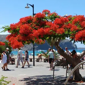 https://casa-adriano-los-cristianos.in-canary-islands.com